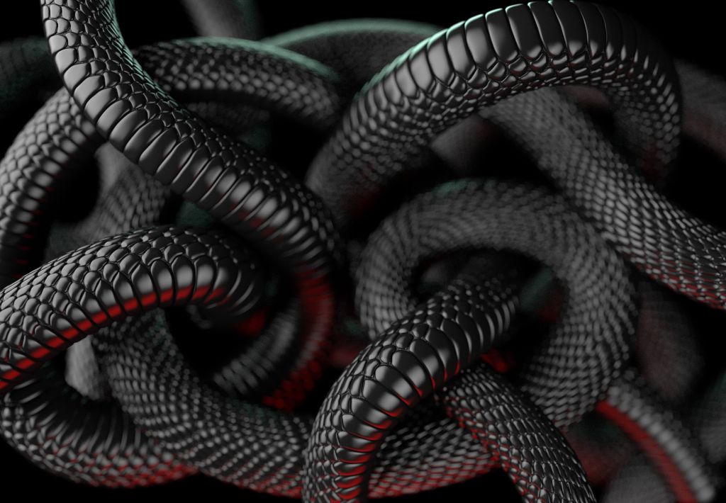 Serpientes negras