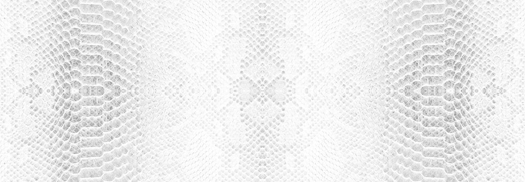 Textura de la piel de la serpiente