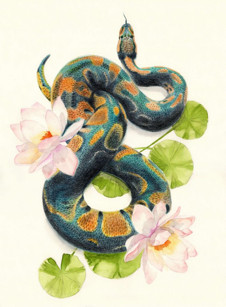 Serpiente de acuarela