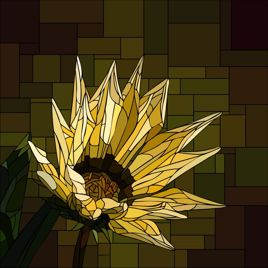 Gazania amarilla en flor