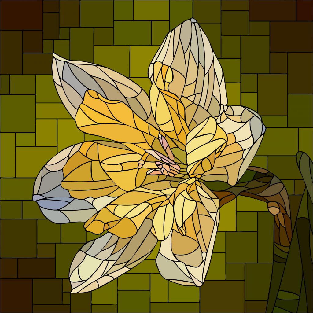 Narciso en flor