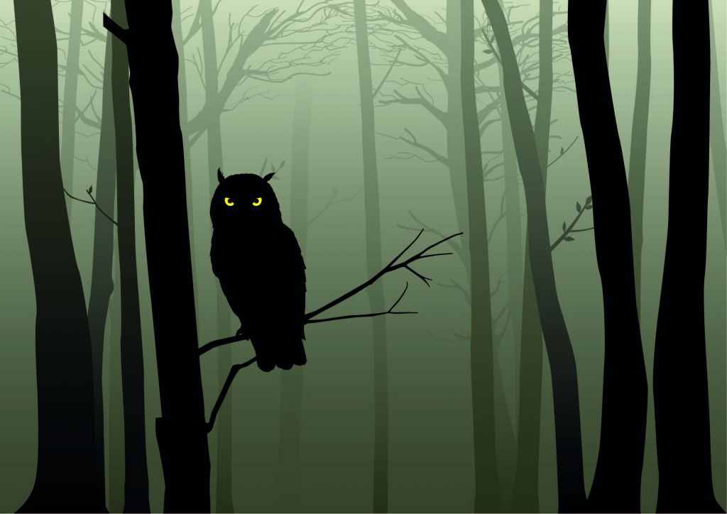 Búho ilustrado en un bosque oscuro