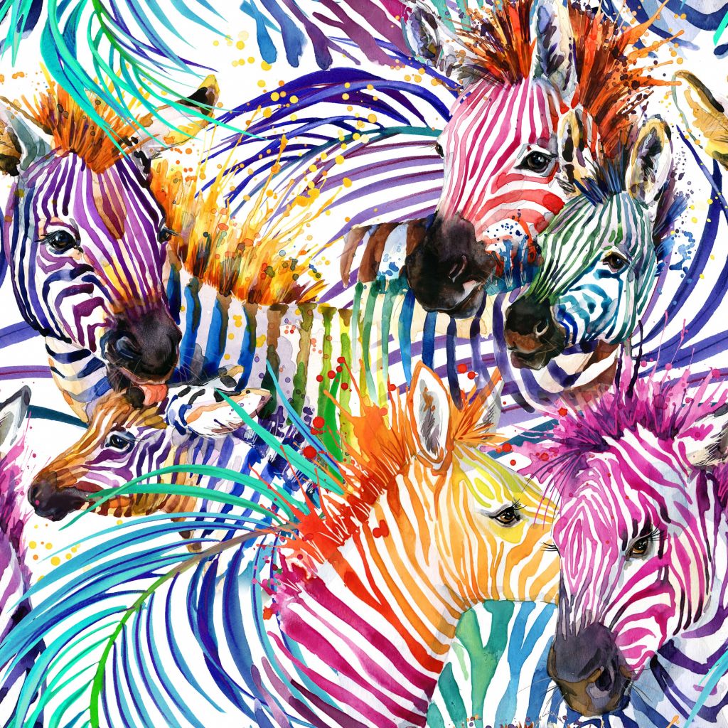 Cebras de colores