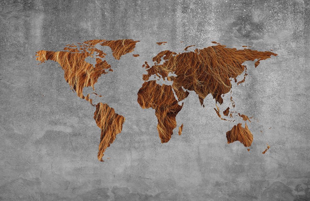 Mapa del mundo con textura