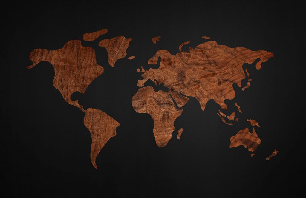 Mapa del mundo con chapa de madera