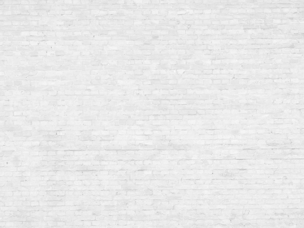 Pared de ladrillos blancos antiguos