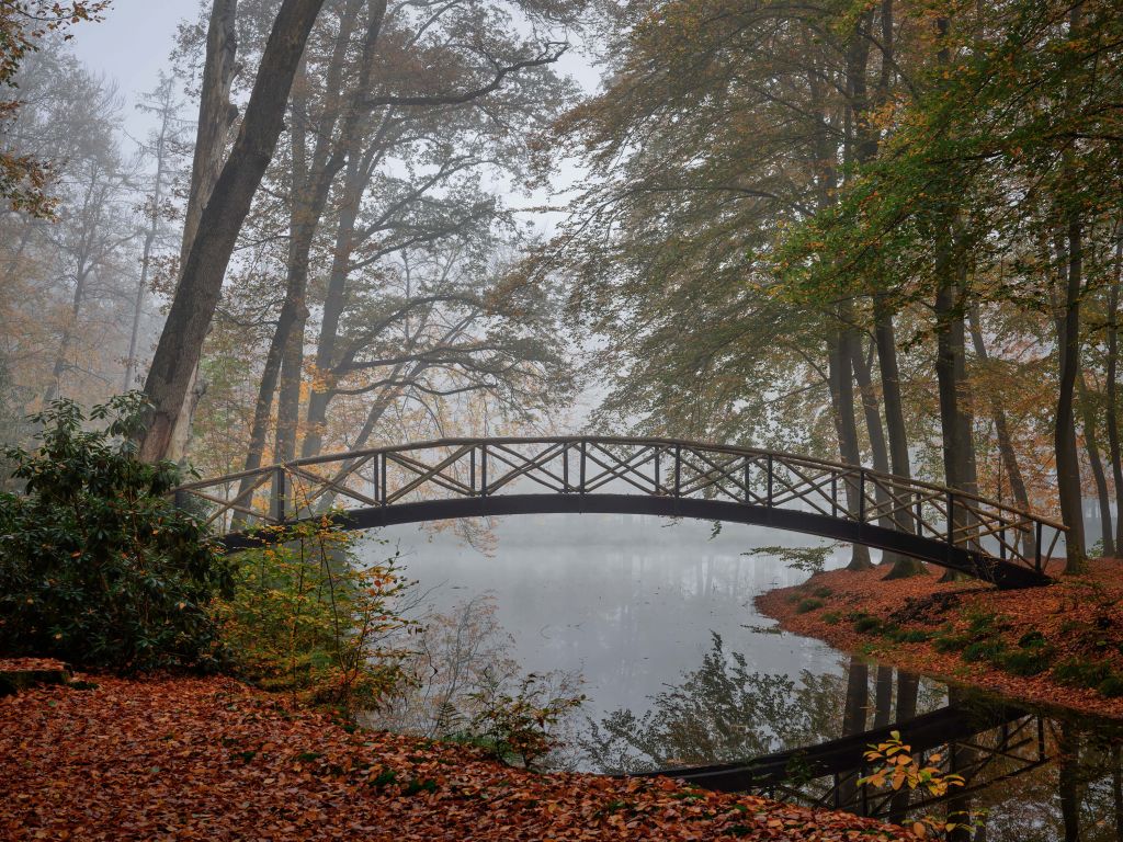 Puente entre los árboles