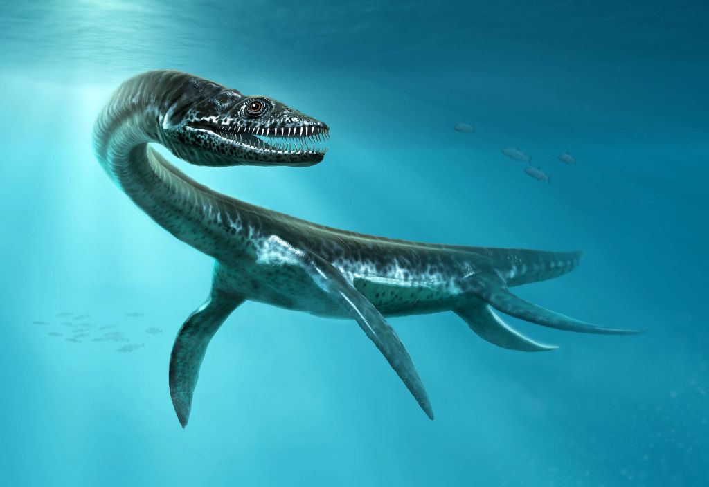 Dinosaurio de los mares