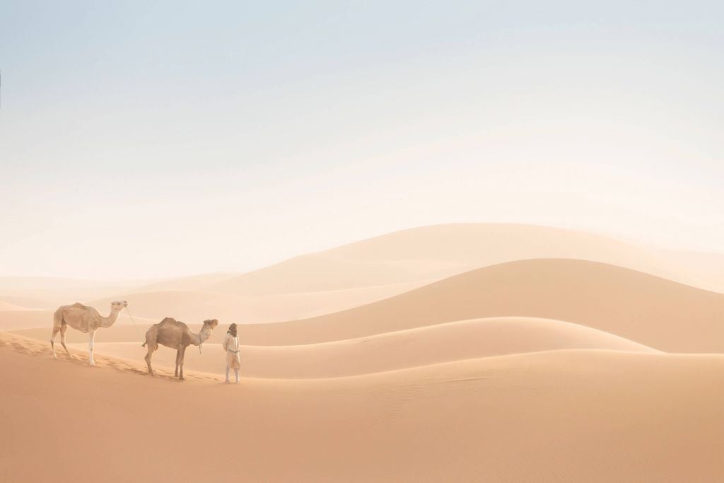Nómada con sus camellos