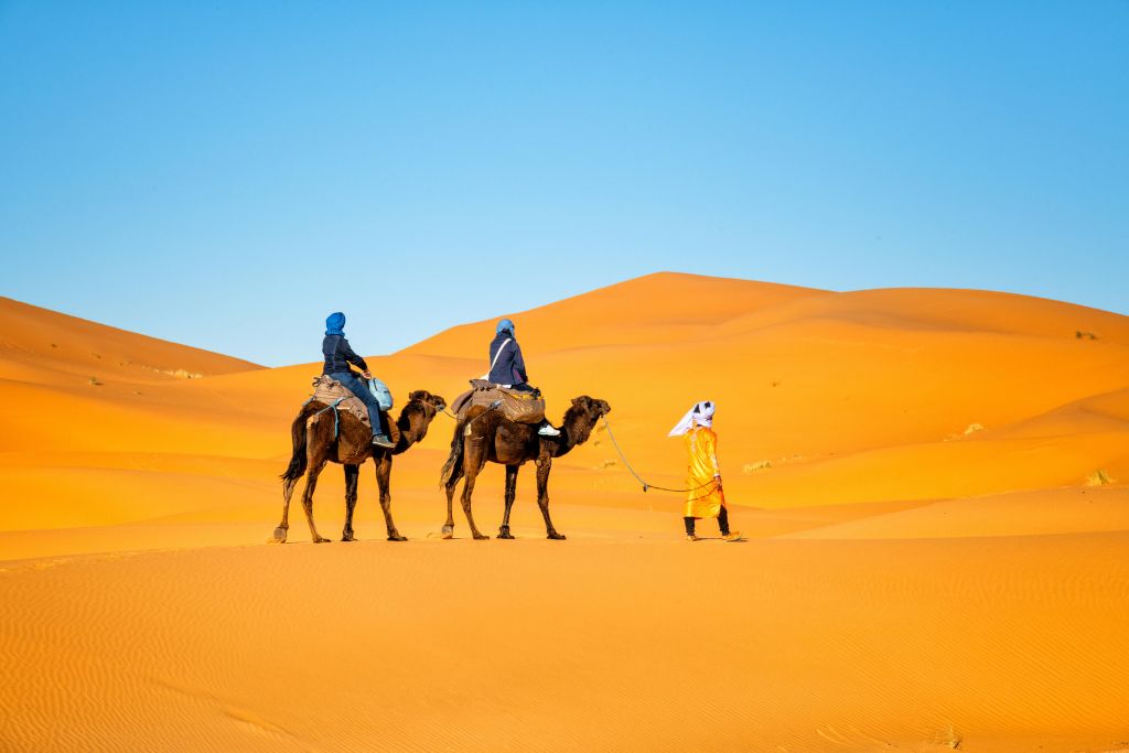 Paseo en camello por el desierto