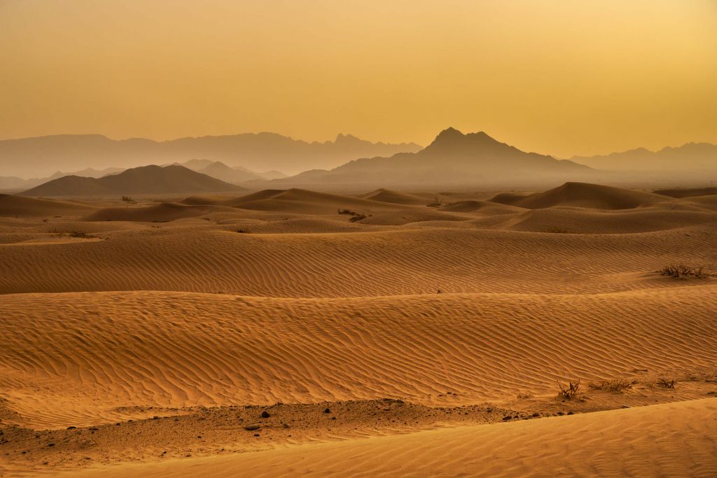 Desierto en ruinas