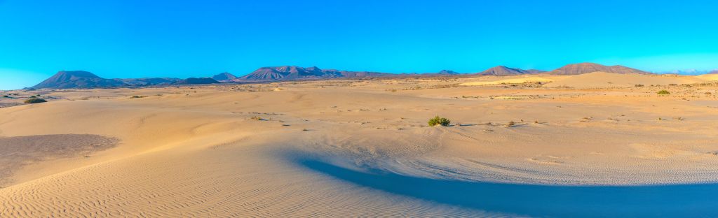 Amanecer en las dunas