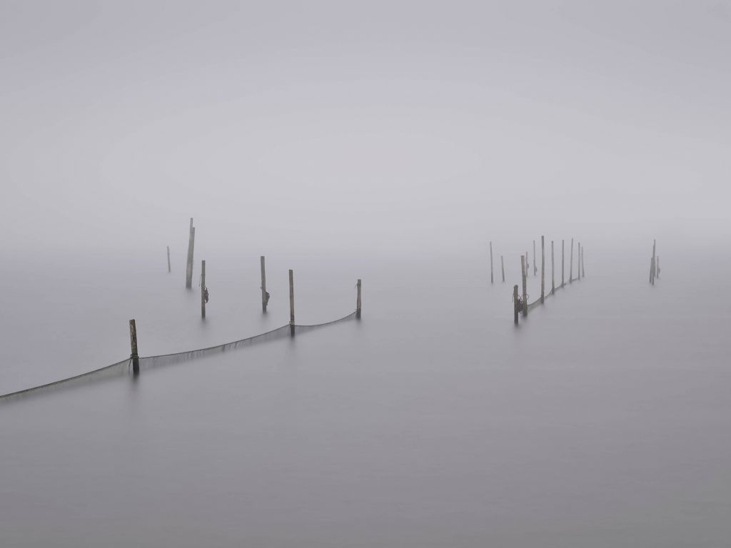 Redes de pesca en la niebla