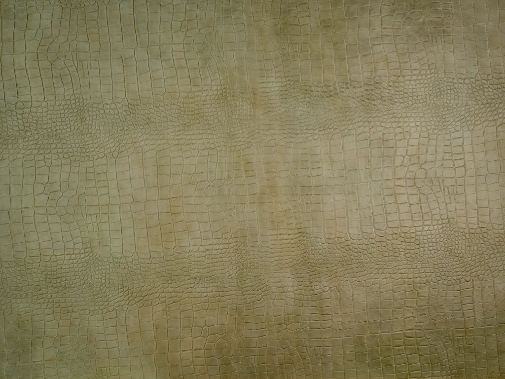 Textura piel cocodrilo