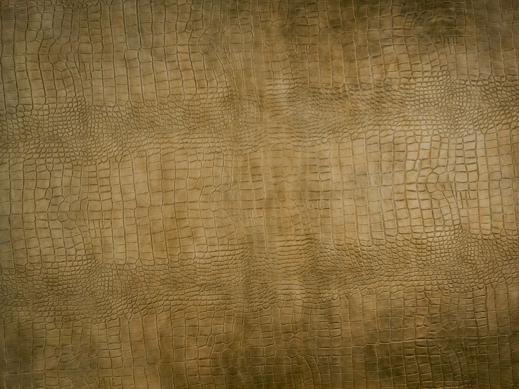 Textura de cocodrilos dorados