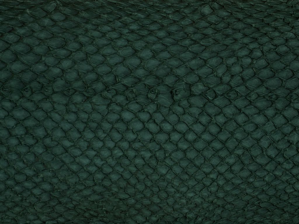 Textura de piel de aceite en verde