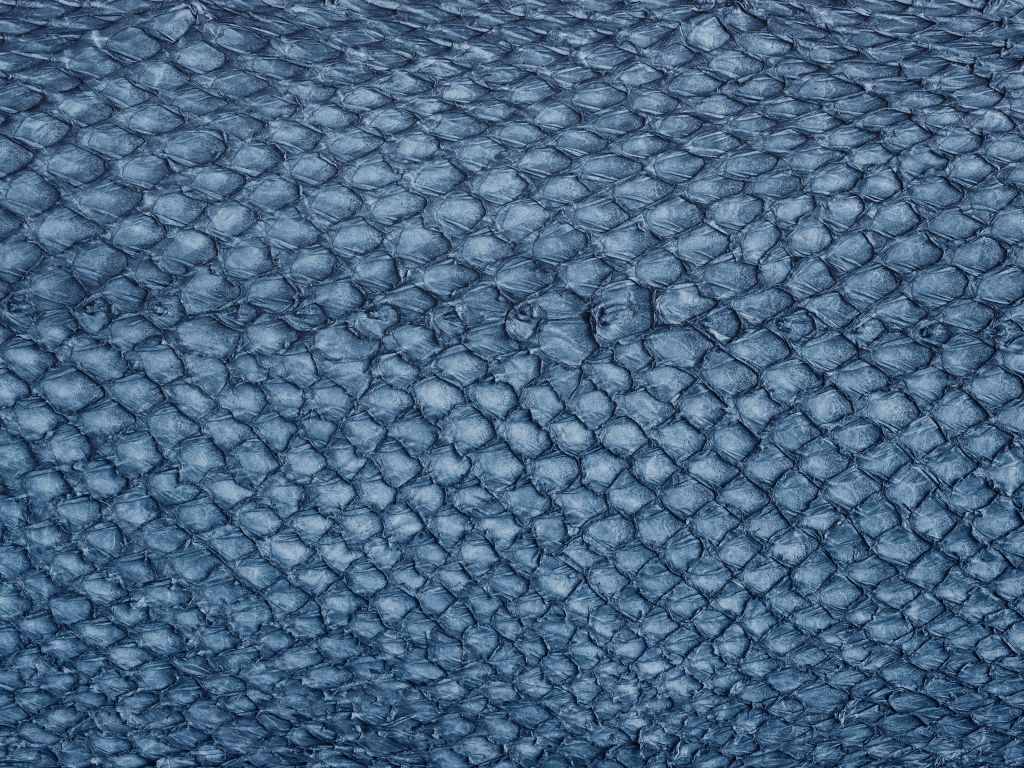 Textura de piel de aceite en azul