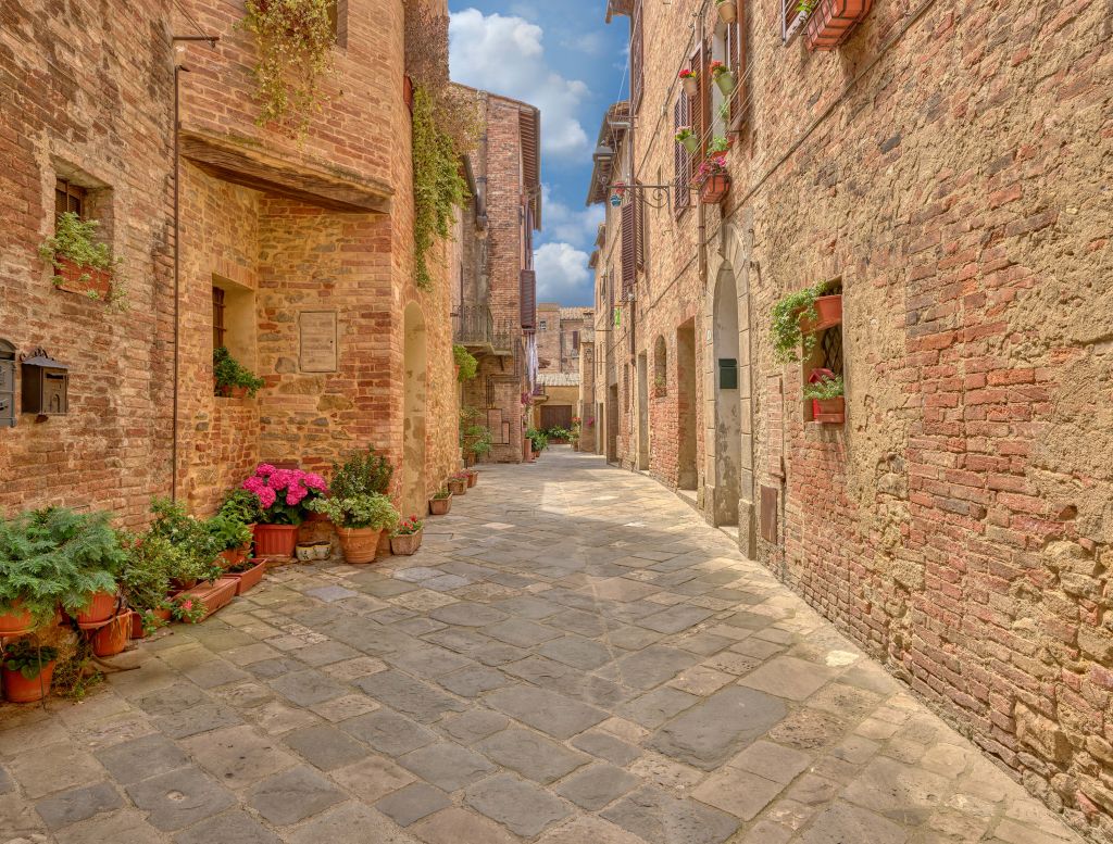 Calle italiana con plantas y flores