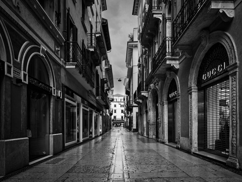 Calle comercial en blanco y negro