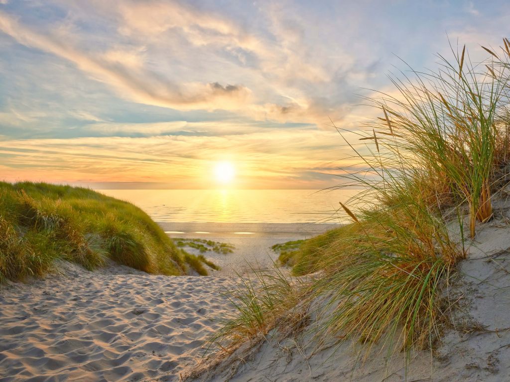 Puesta de sol en la playa de dunas