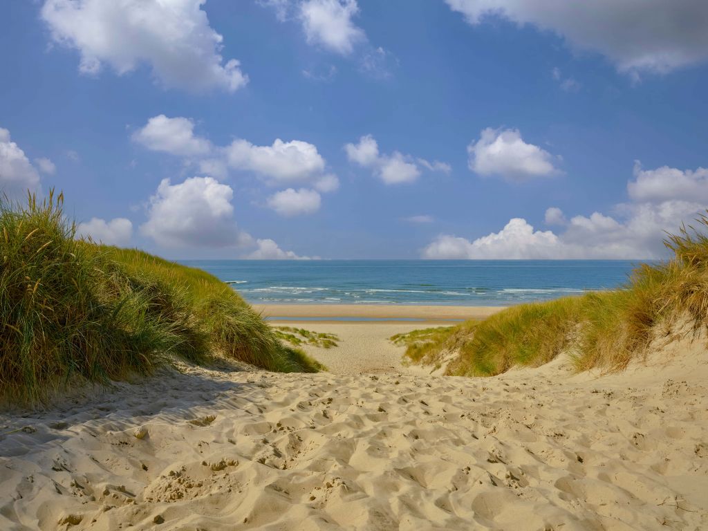 La playa se levanta de las dunas