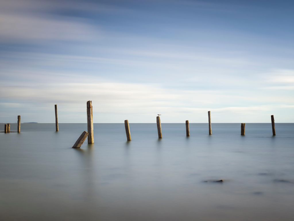 Viejos postes de madera en el mar