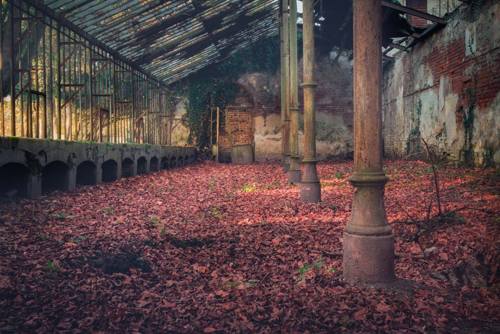 Casa abandonada con hojas