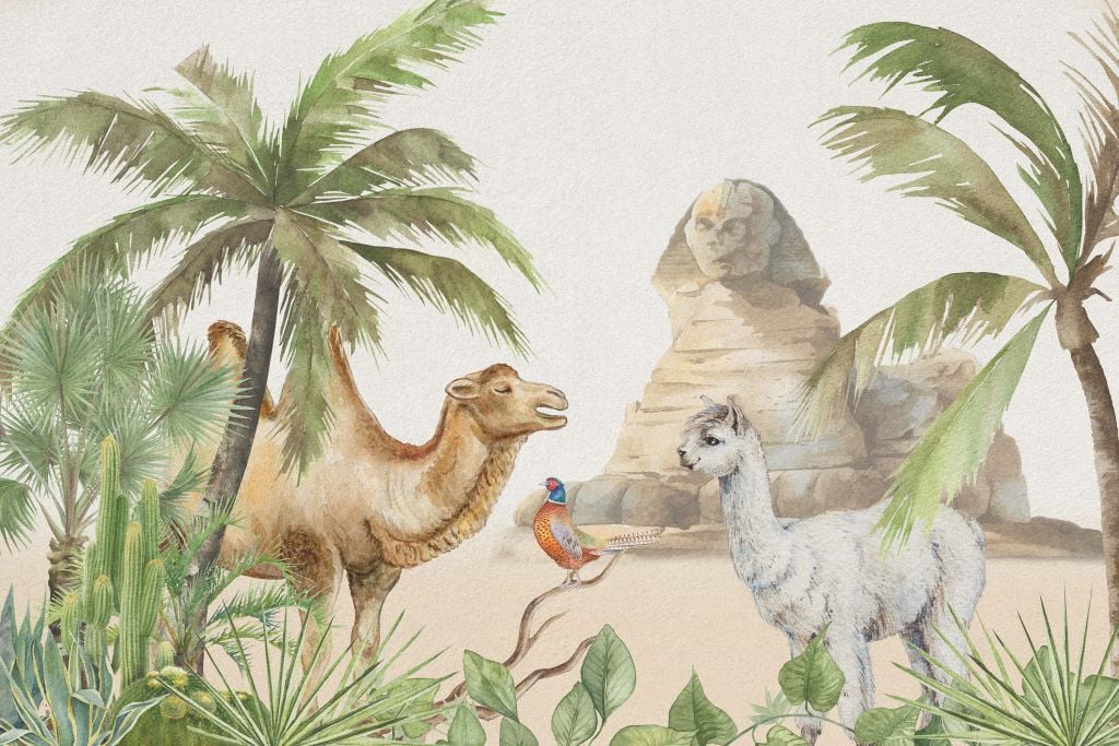 Camello y alpaca en el desierto