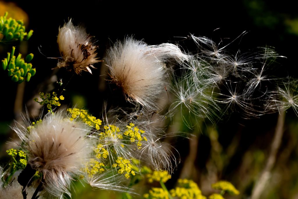 Naturaleza mística