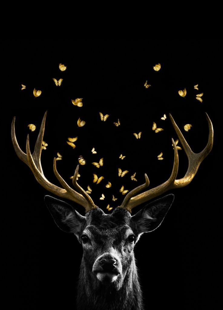 Golden Deer Retrato