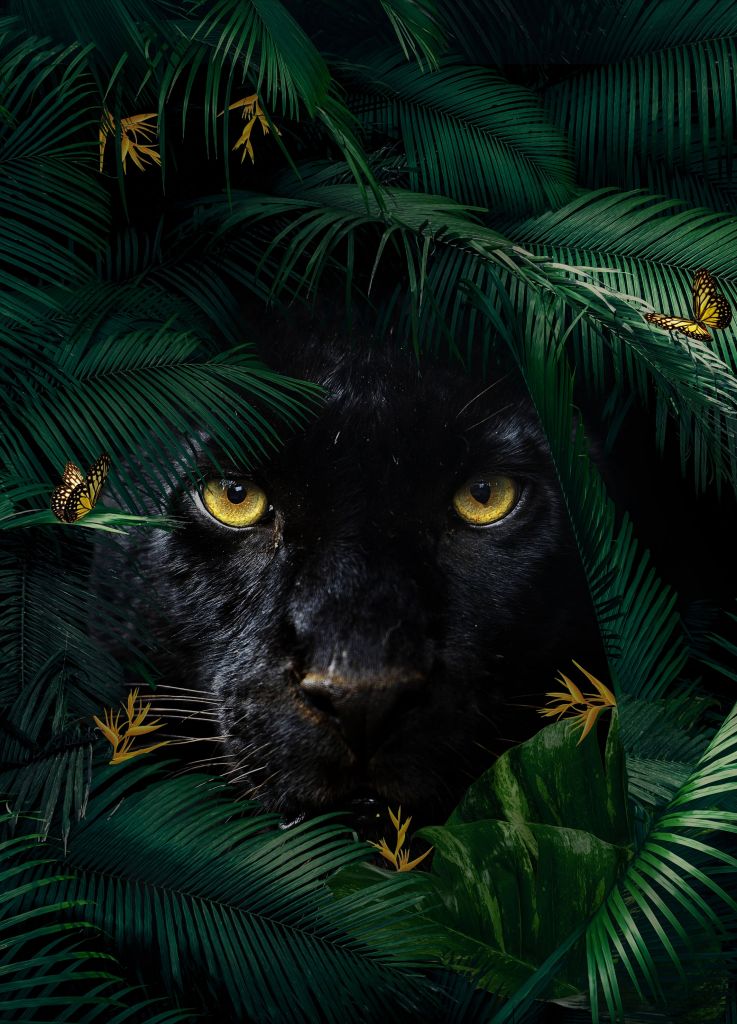 Jungle Panther Retrato