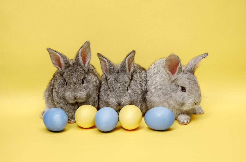 Conejitos con huevos de Pascua