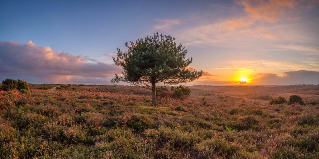 Puesta de sol en una zona desierta