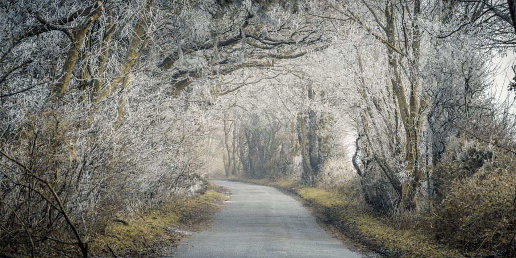 Carretera congelada a través del bosque