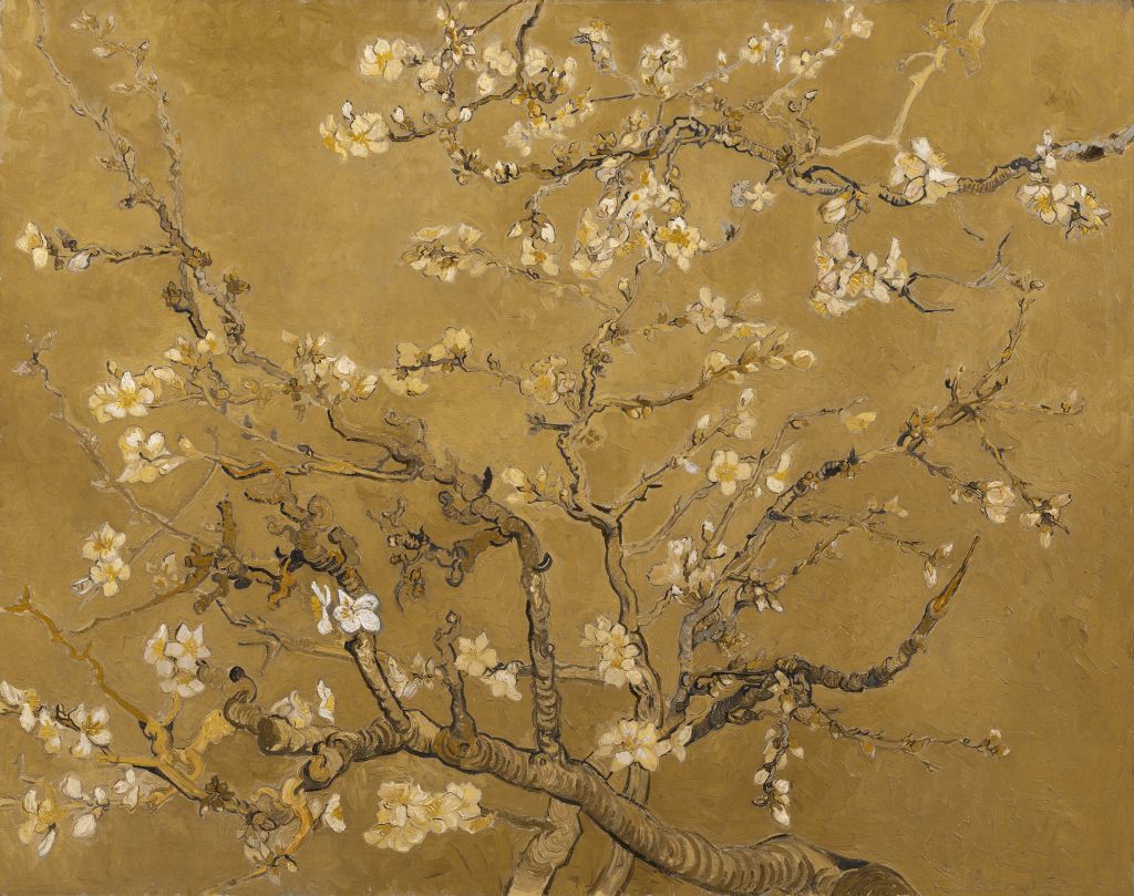 Almendra amarilla en flor