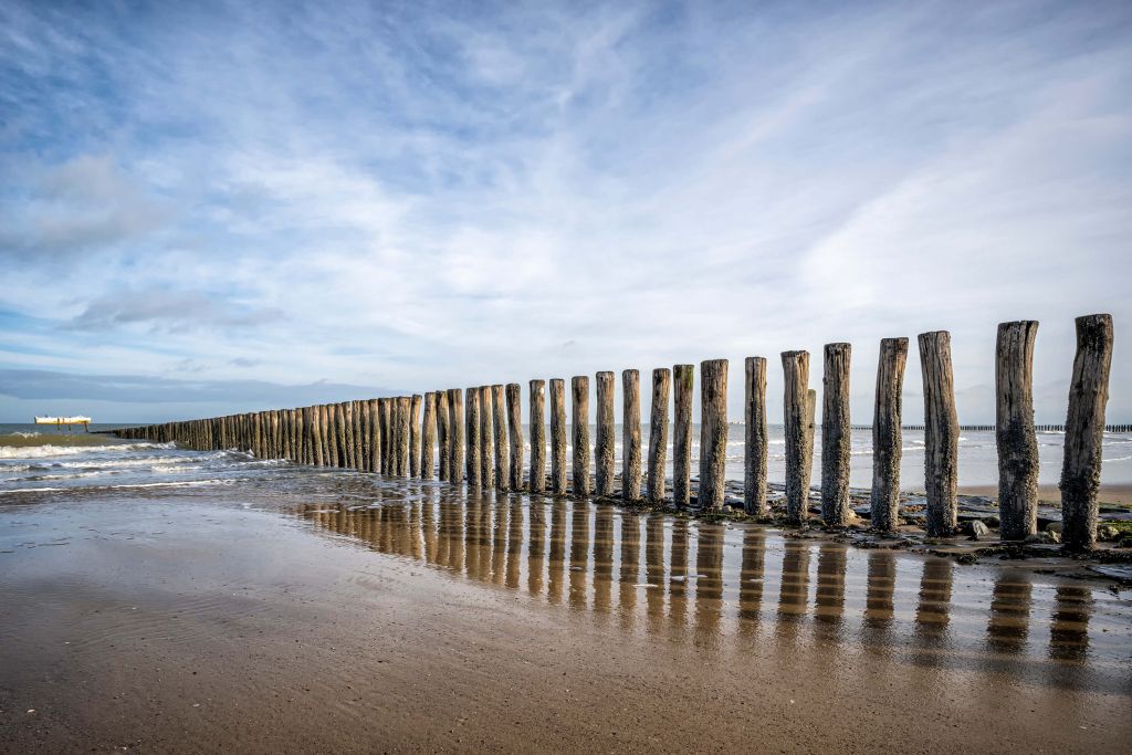 Rompeolas de madera en la costa cerca de Cadzand-Bad - NL