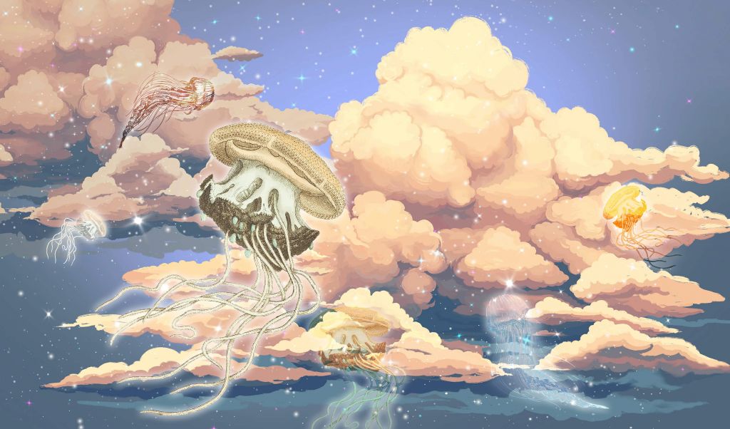 Medusas en las nubes