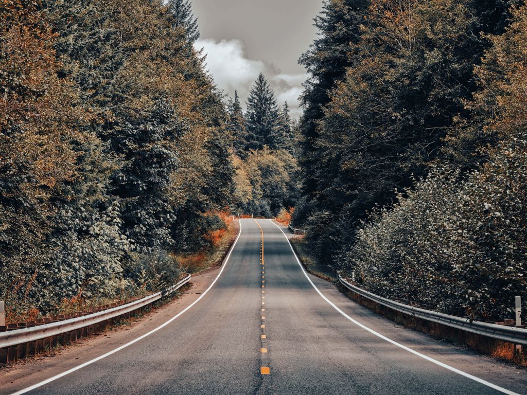 Bosque a lo largo de una carretera estadounidense