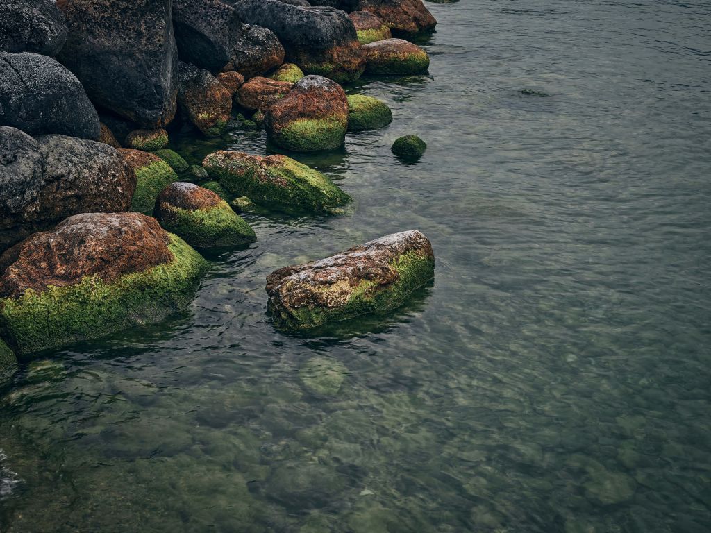 Rocas en el lago de la montaña