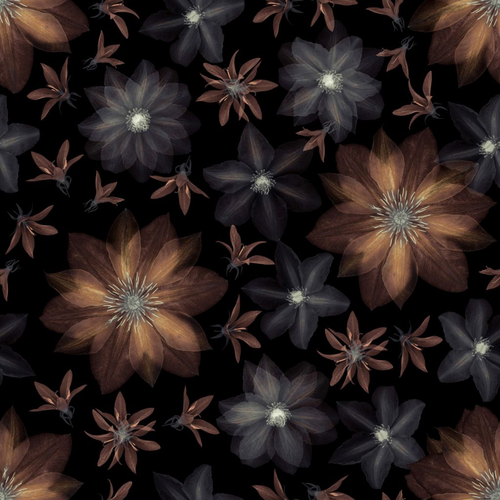 Flores de clemátide