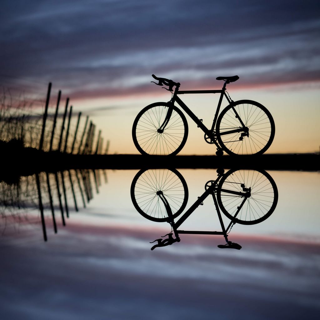 Bicicleta de carreras al atardecer