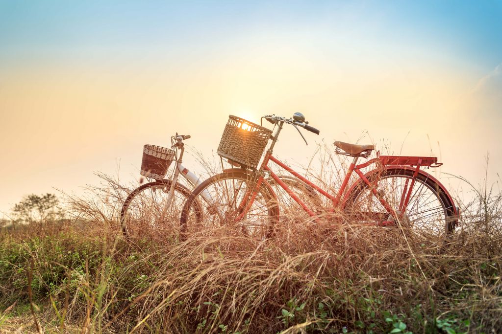 Bicicletas antiguas