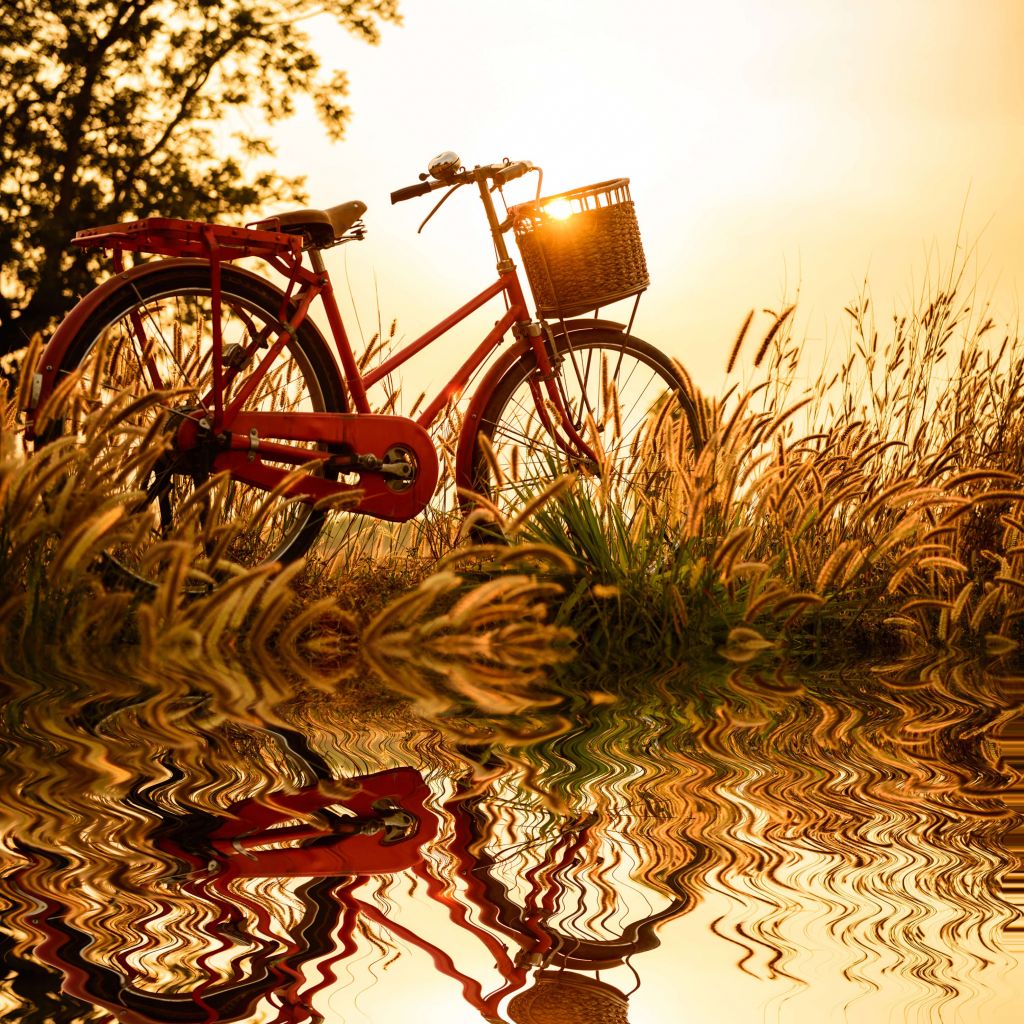 Bicicleta al atardecer