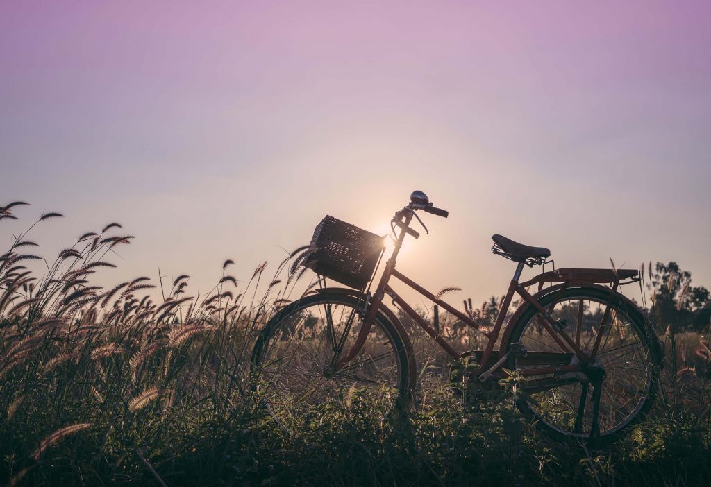 Bicicleta en un campo