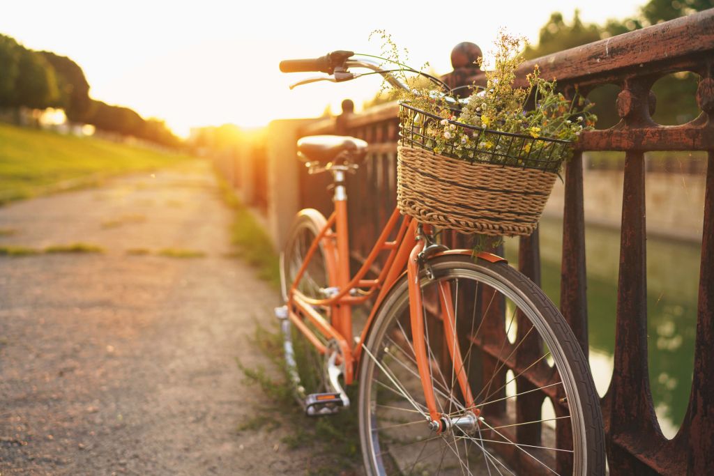 Bicicleta roja con cesta