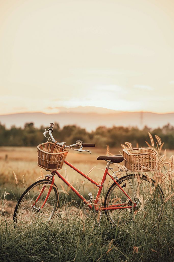 Bicicleta de época en verano