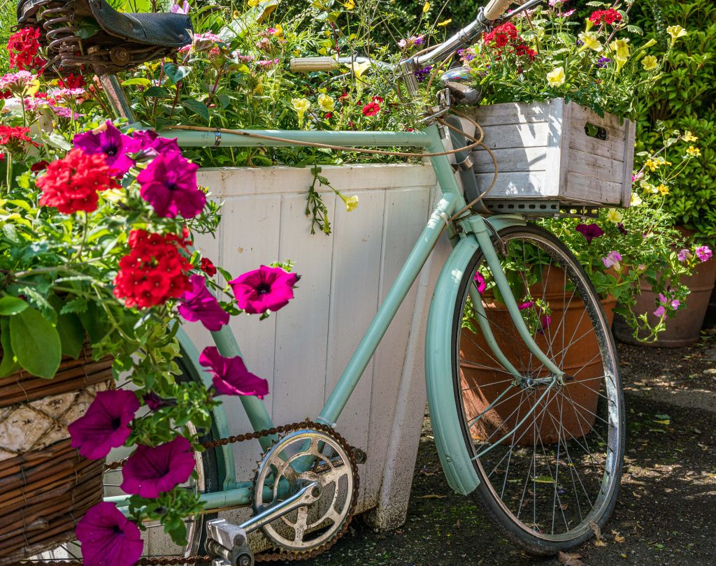 Bicicleta antigua con flores