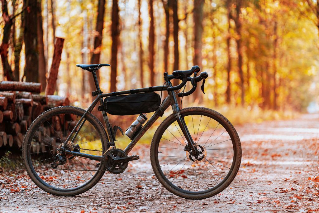 Bicicleta en otoño