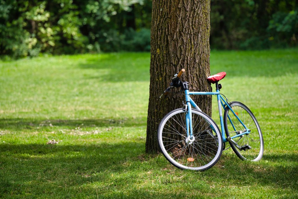 Bicicleta en el parque