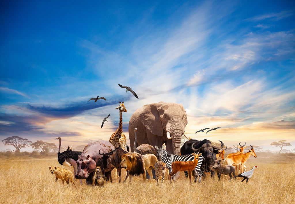Grupo de animales africanos